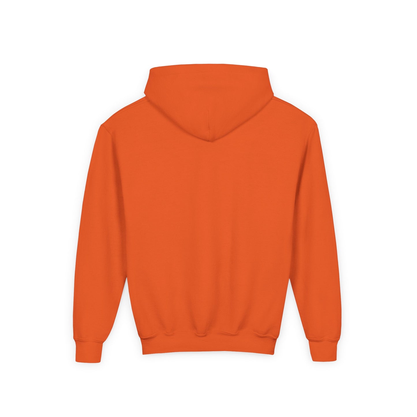 Youth Heavy Blend Hooded Ruse Clues Sweatshirt